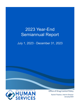 2023年年终半年度报告（1）.docx